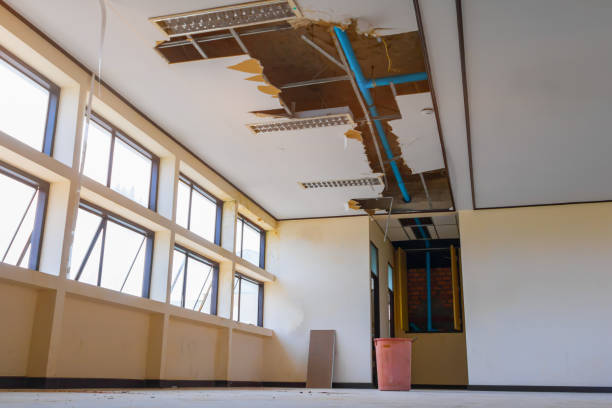 Best Water damage contractors near me  in Eslon, CA