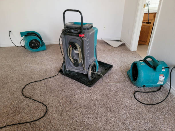 Best Sewage cleanup and water damage restoration  in Eslon, CA