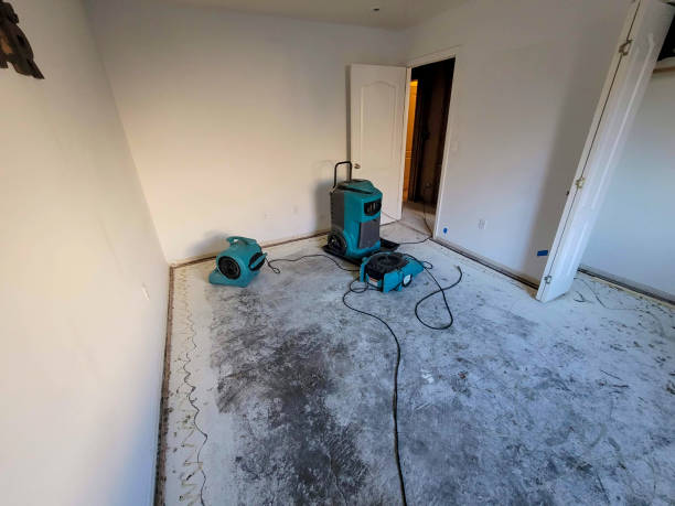 Best Residential water damage restoration  in Eslon, CA