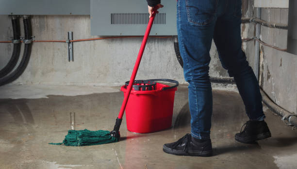 Best Water damage restoration near me  in Eslon, CA