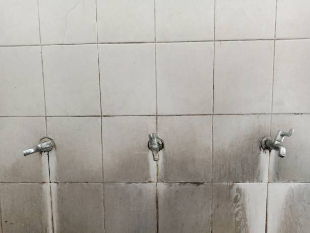 Best 24/7 water damage repair  in Eslon, CA