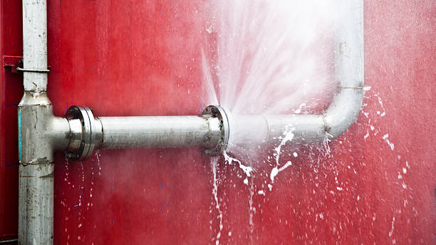 Best Fire Damage Restoration  in Eslon, CA